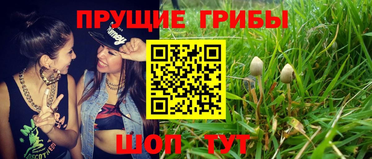 Псилоцибиновые грибы ЛСД  Вход с VPN  Семёнов 