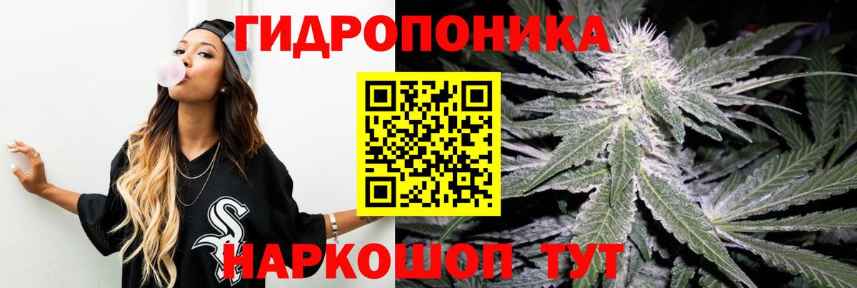 Бошки марихуана SATIVA & INDICA  Марихуана ГИДРОПОН  Бошки Шишки гибрид  Вход с VPN  Семёнов 